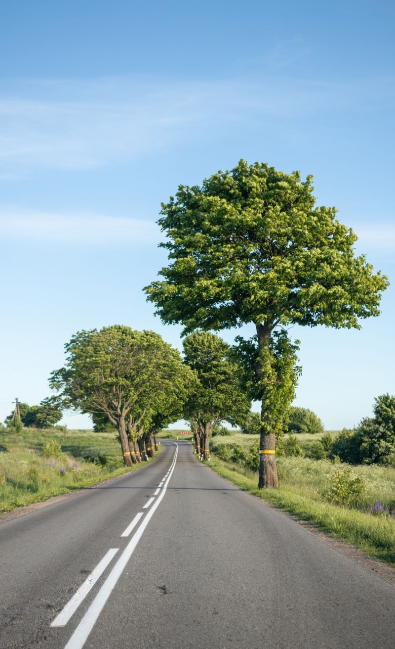 5 Must-Visit Driving Spots Near Daejeon | Healing Courses Perfect for Early Autumn / Y-Support