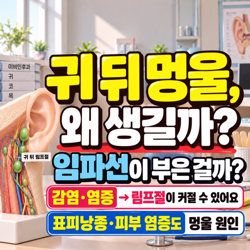 귀 뒤 멍울 왜 생길까? 딱딱하고 아픈 통증, 임파선 원인과 병원 어디로 가야할까?