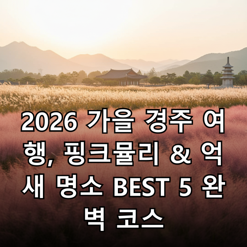 2026 가을 경주 여행, 핑크뮬리 & 억새 명소 BEST 5 완벽 코스