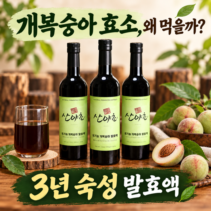 개복숭아 효소 효능, 왜 먹을까? 돌복숭아 발효액 고를 때 볼 3가지