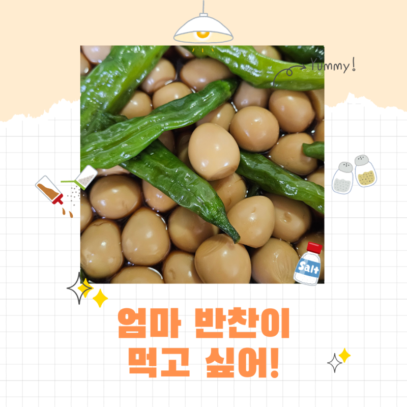 메추리알 꽈리고추 장조림 만들기 타지에 있는 아이에게 보내는 엄마표 집밥
