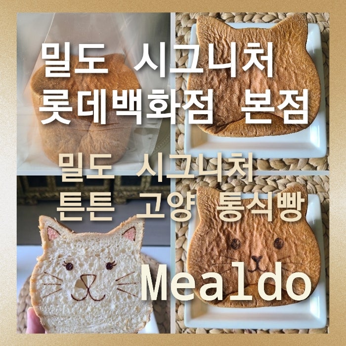 [밀도 시그니처 롯데백화점 본점]밀도 시그니처 튼튼 고양 통식빵 솔직후기