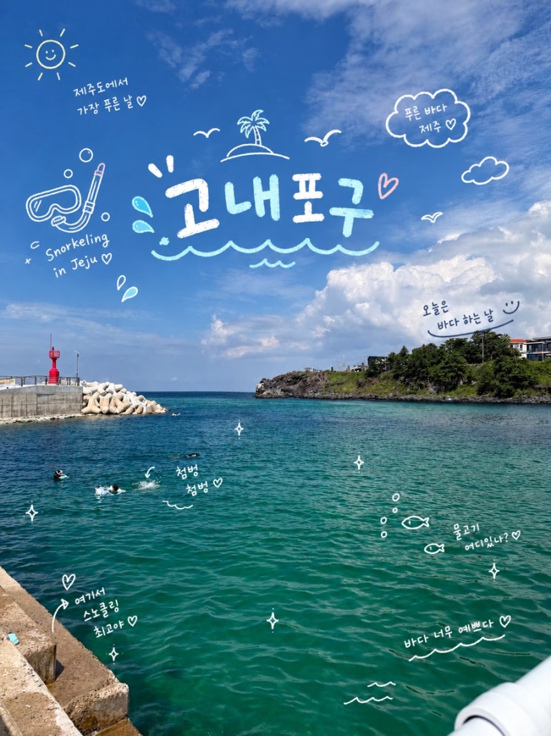 제주 스노쿨링 명소 ‘고내포구’, 물놀이하기 좋았던 제주 바다
