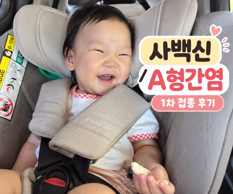 일본뇌염 사백신 1차 접종 후기｜A형간염 동시접종·2차 접종 시기