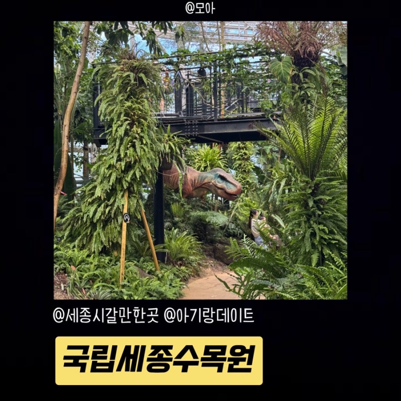 [세종시 가볼만한곳 추천] 사계절 내내 예쁜 국립세종수목원 온실부터 주차&가격까지 총정리