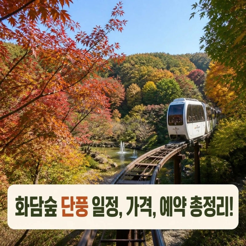 2026 화담숲 단풍 일정 언제? 가격 예약방법과 모노레일 정보