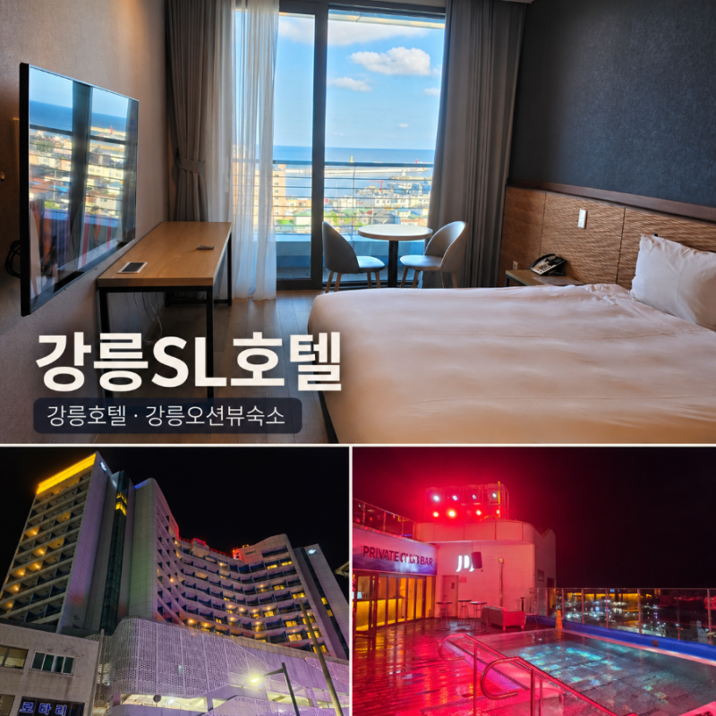 강릉 수영장 호텔 주문진 오션뷰 숙소 SL호텔 강릉 조식 인피니티풀
