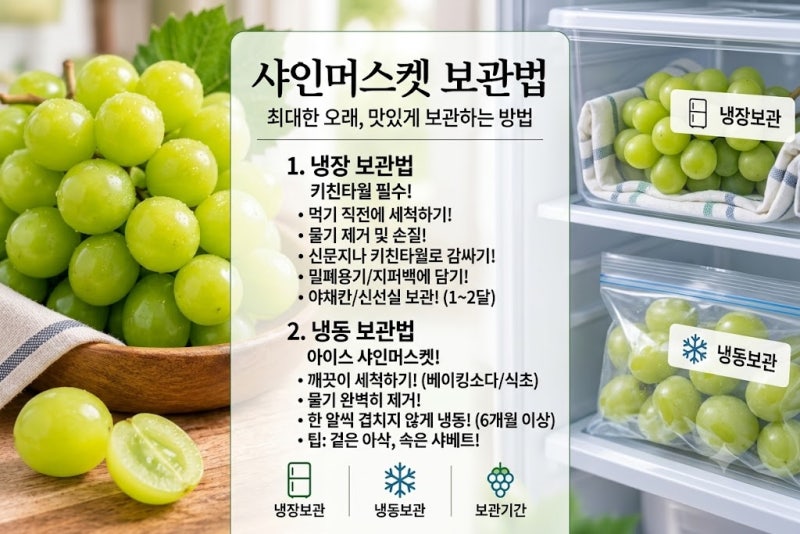 샤인머스켓 시들지 않게 보관하는 법 (냉장고에서 3주 버틴 방법)