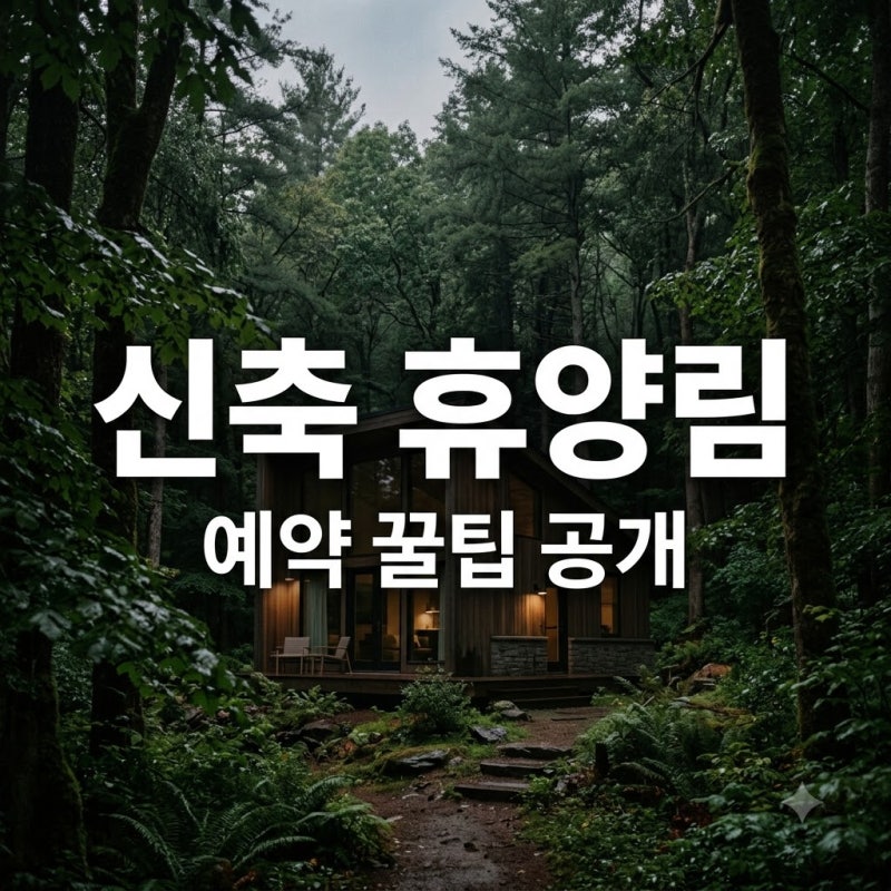 "진짜 호텔인 줄 알았네".. 2026년 국립자연휴양림 신축 숙소 베스트 3