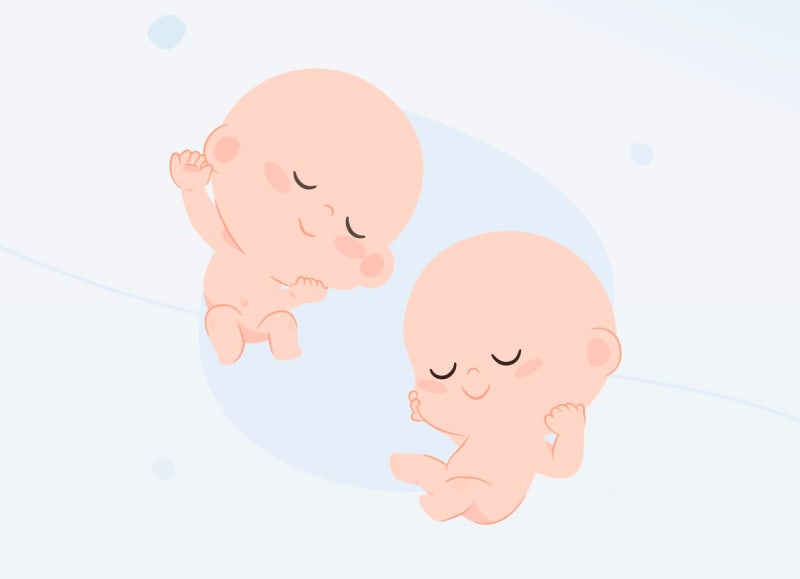쌍둥이면 부모급여 월 200만원? 출산 전에 꼭 알아둘 신청 방법