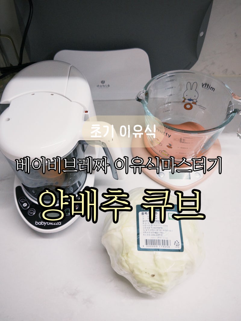 초기 이유식 양배추 큐브 레시피｜베이비브레짜 이유식마스터기로 만들기