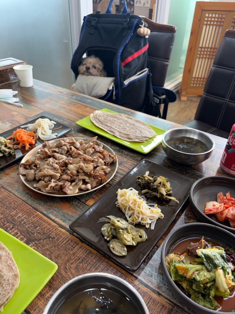 강원도 평창 애견동반 식당, 메밀쌈 추천 : 대관령 자연애