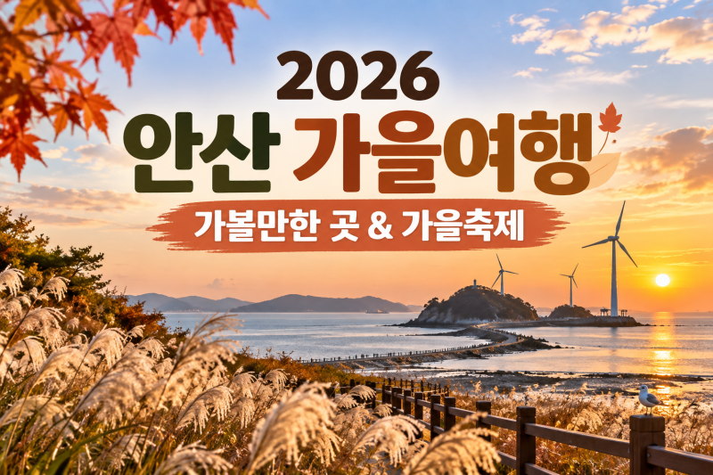 2026 안산 가볼만한 곳 BEST 8｜대부도 여행부터 가을축제 일정까지 총정리
