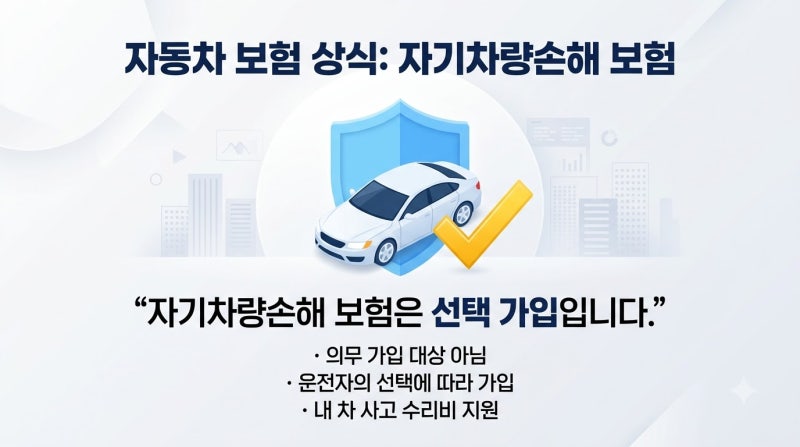 자동차보험 자차보험, 꼭 넣어야 할까? 차량가액으로 판단하는 법