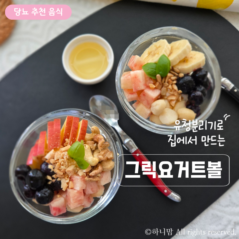 당뇨에 좋은 수제 그릭요거트볼 레시피 유청 분리기 사용방법