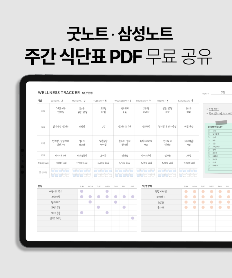 굿노트 주간 식단표 & 운동 기록 PDF 공유 | 건강 루틴 시작하기