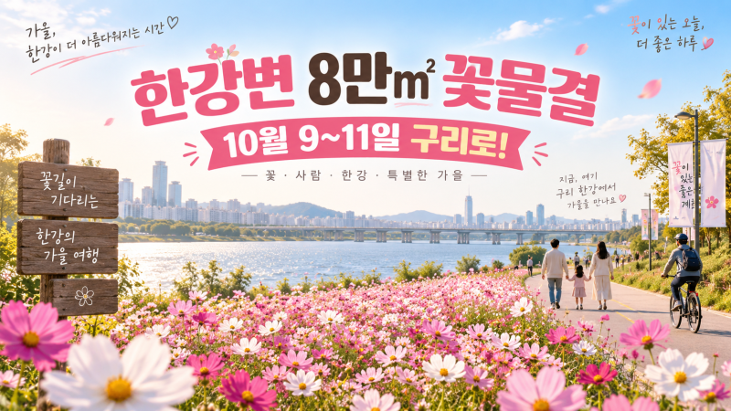 한강변 8만㎡ 코스모스 물결! 구리 코스모스축제 주차·가는법 총정리