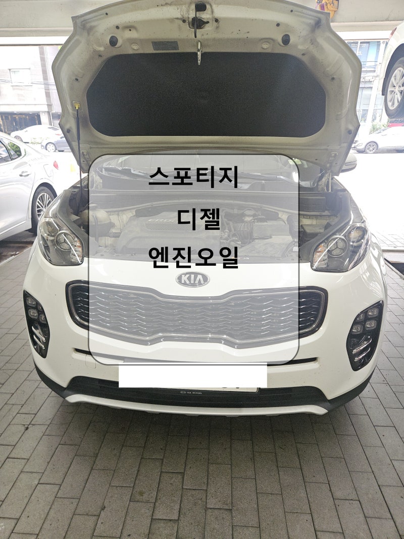 스포티지 디젤 엔진오일 교환