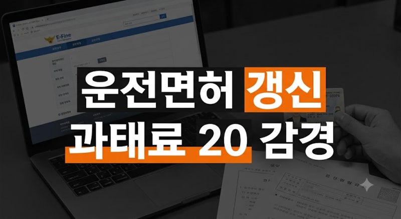 운전면허 갱신 기간 초과 과태료 총정리: 20% 감경 방법과 면허 취소 기준