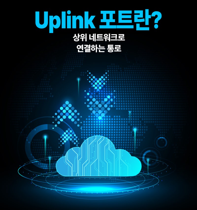 업링크(Uplink) 포트란? PoE 포트와 차이부터 연결 방법까지
