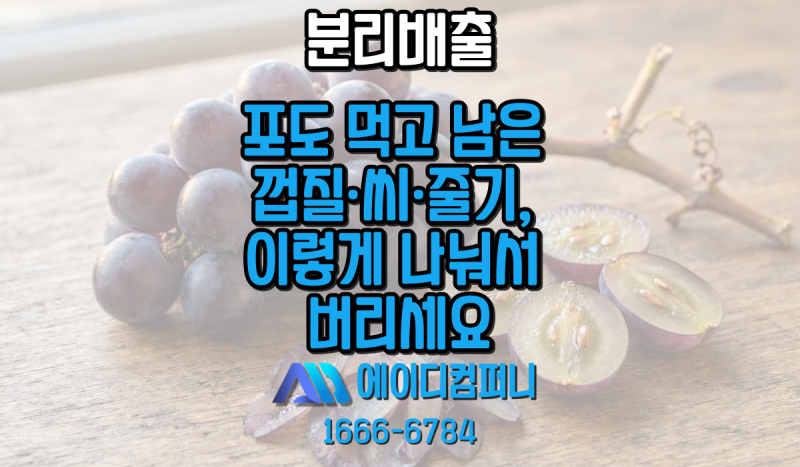 포도 먹고 남은 껍질·씨·줄기, 이렇게 나눠서 버리세요