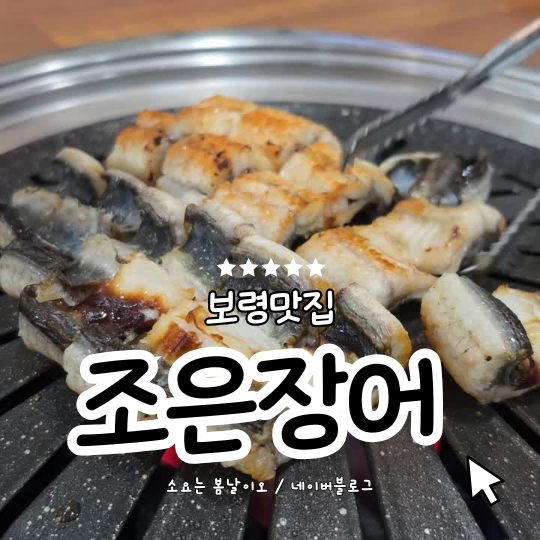 [보령맛집] 보령시청 맛집 , 천하제일장어구이! "조은장어"
