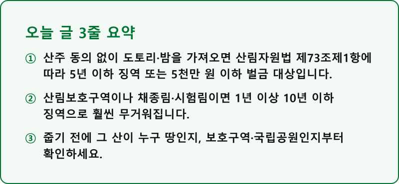 산에서 도토리 밤 주우면 처벌될까산에서 도토리 밤 주우면 처벌될까? 장소별 기준과 단속 ....