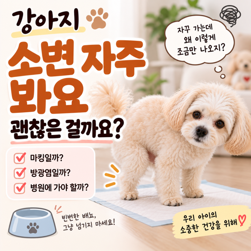강아지 소변 자주 봐요, 조금씩 여러 번 본다면 왜 그럴까?