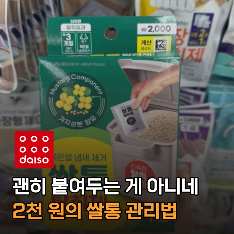 다이소 "2천 원인데 제법이네" 쌀통에 두 달째 붙여둔 이것!