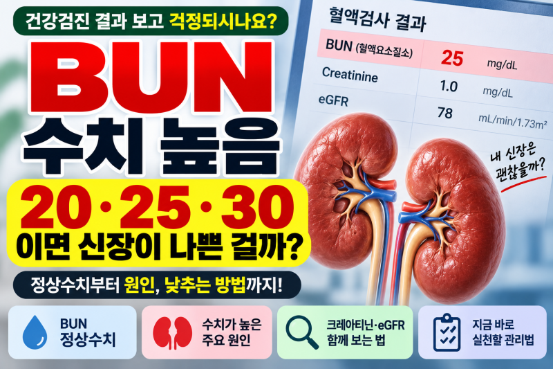 BUN 수치 높음, 20·25·30이면 신장이 나쁜 걸까? 정상수치 총정리