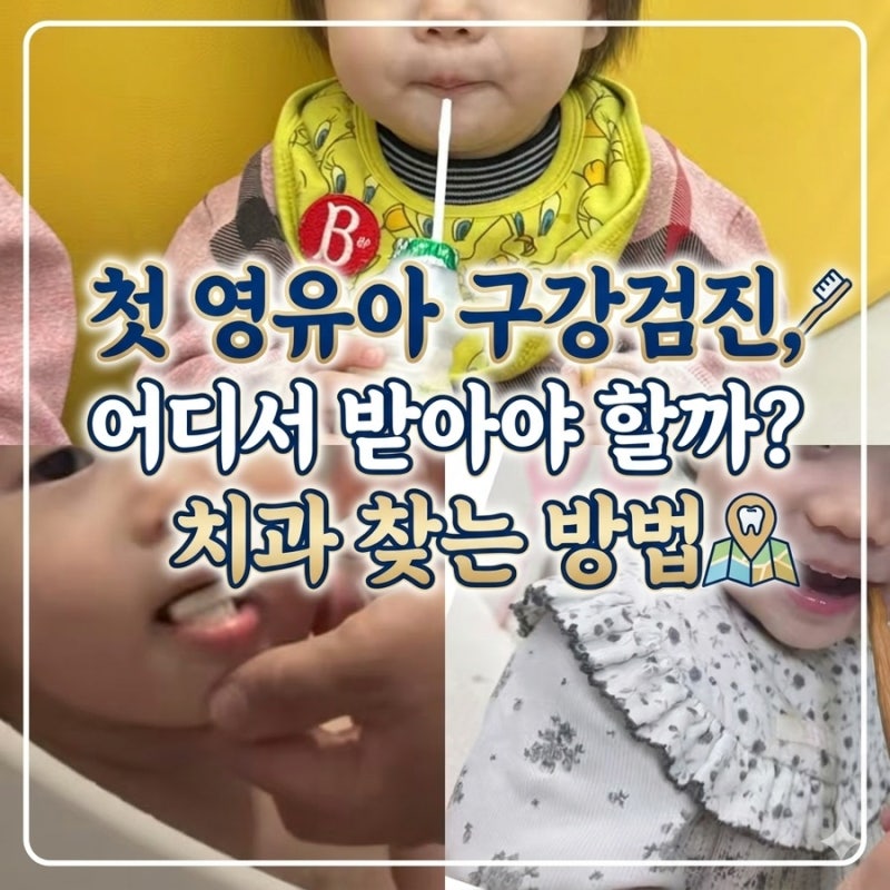 1차 영유아 구강검진 치과 찾기, 시기와 병원 조회 방법