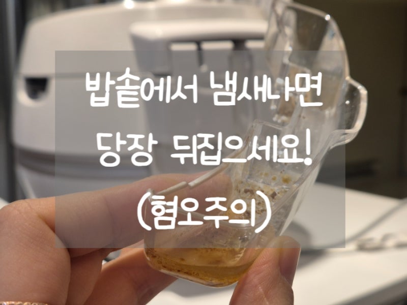 쿠쿠 밥솥이 자꾸 "뒷면을 확인하라"고 하길래 봤다가... (혐오주의)