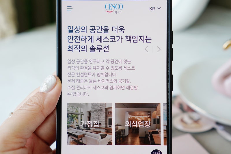 세스코 비용 궁금증 해결, 맞춤 통합 해충방제와 24시간 긴급진단 총정리