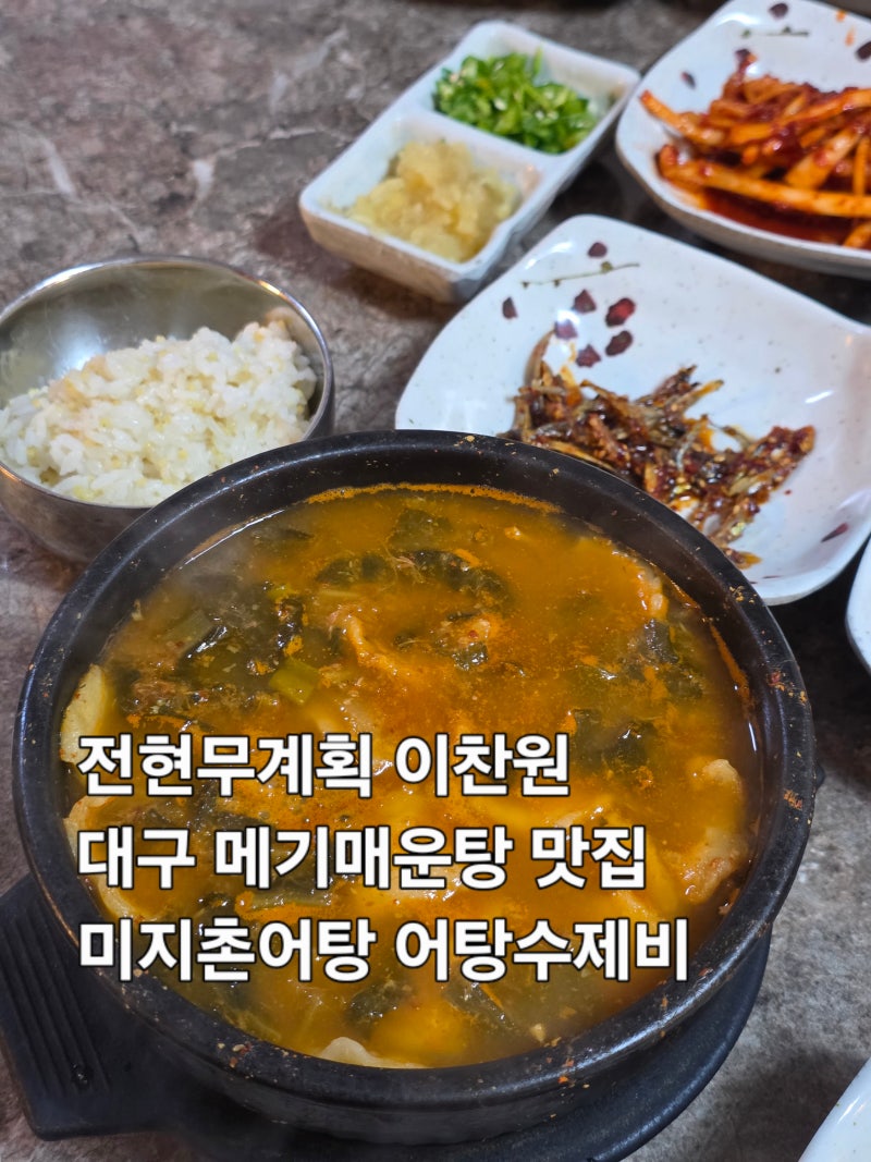 전현무계획4 이찬원 대구 메기매운탕 맛집 미지촌어탕 어탕수제비 웨이팅 주차