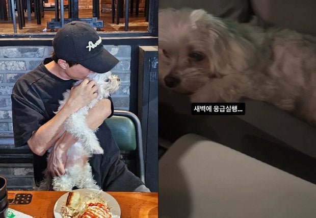 반려견 심장병 관리의 현실‥박성광 부부가 매일 겪는 일