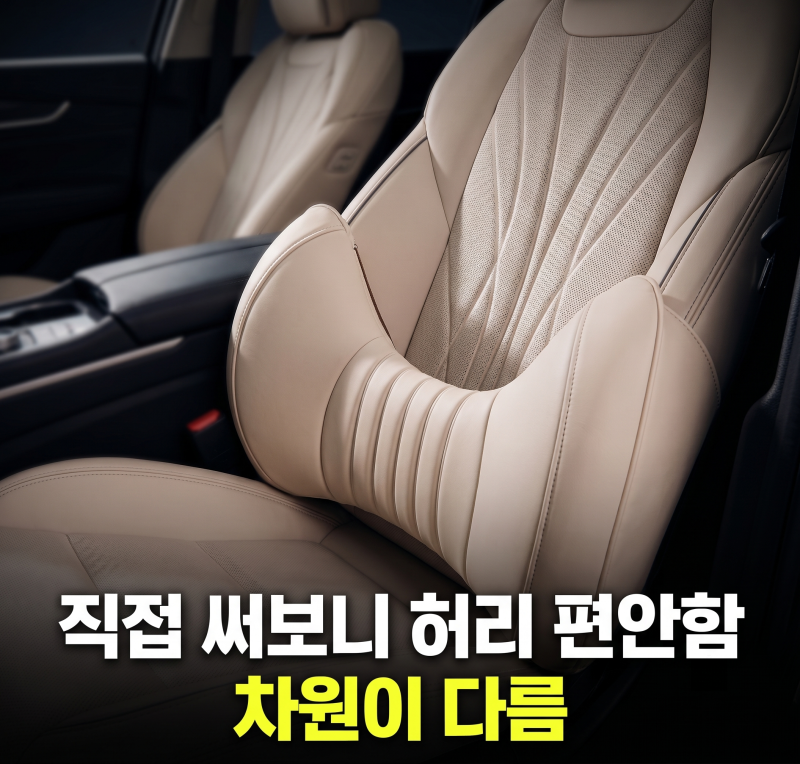 차량용 허리쿠션 추천 제품 고민하다 아임반 3세대 요추쿠션 고른 이유와 최저가 구매 방법