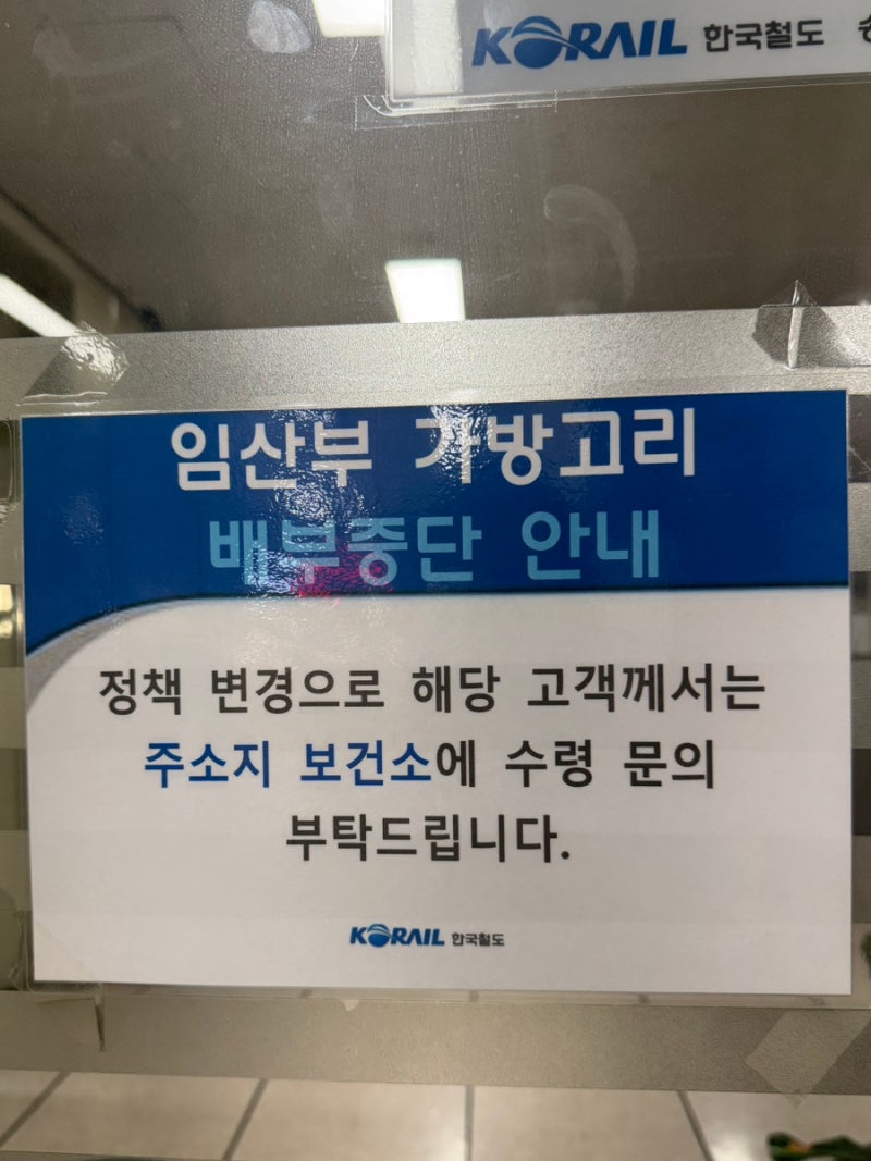 2026 임산부 혜택 및 임신 확인 후 할 일