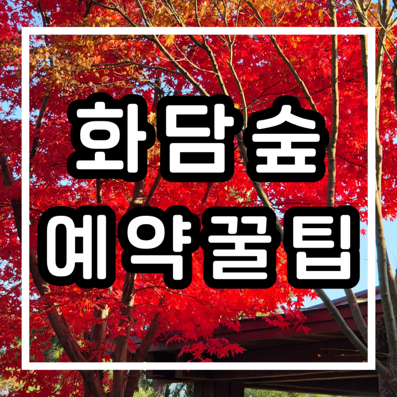 화담숲 예약 꿀팁! 성공률 100% 예약 성공 방법, 화담숲 단풍 시기 및 주차 꿀팁, 할인정보