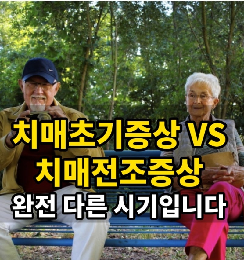 치매 초기증상과 전조증상,차이점"전조"와 "초기" 한 글자 차이지만 완전히 다른 시기입니다.