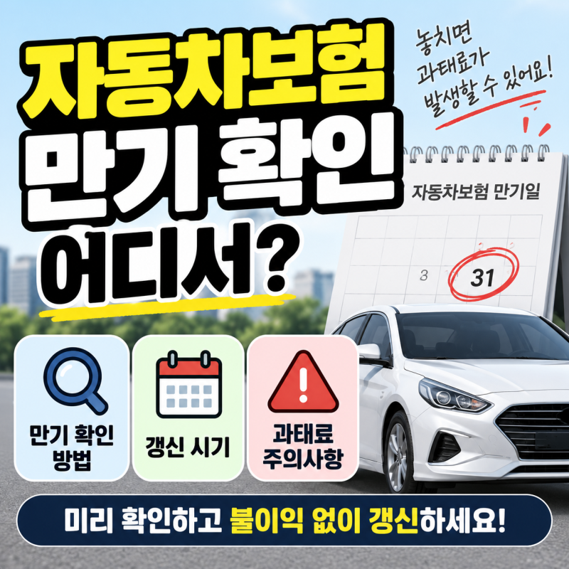 자동차보험 만기 확인 어디서? 갱신 시기와 과태료 주의사항