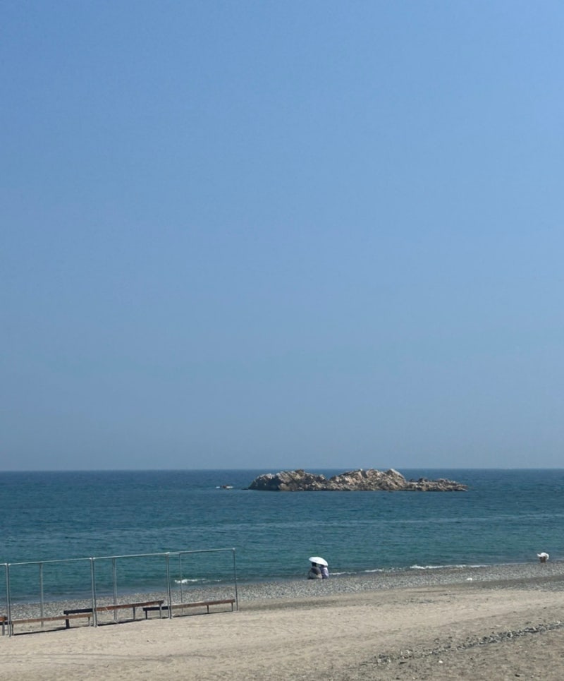 [경주] 2일차: 황리단길 (황남우엉김밥) / 천마총 / 최부자댁 / 양식집 '시즈닝' / 술술 방앗간 /....