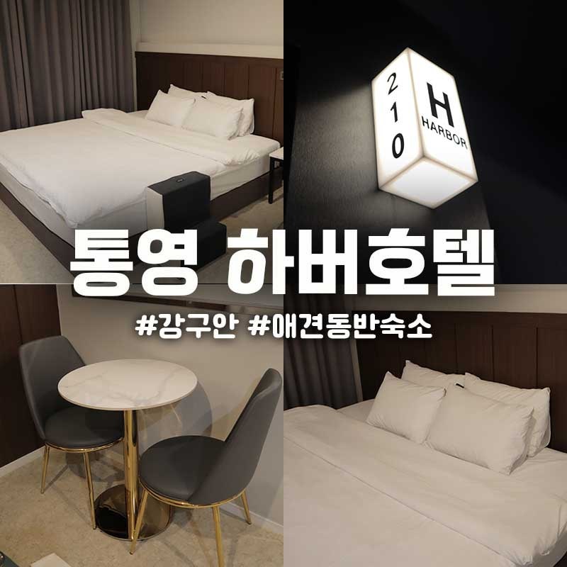 통영 애견동반숙소 하버호텔 강구안 중앙시장 동피랑 위치최고