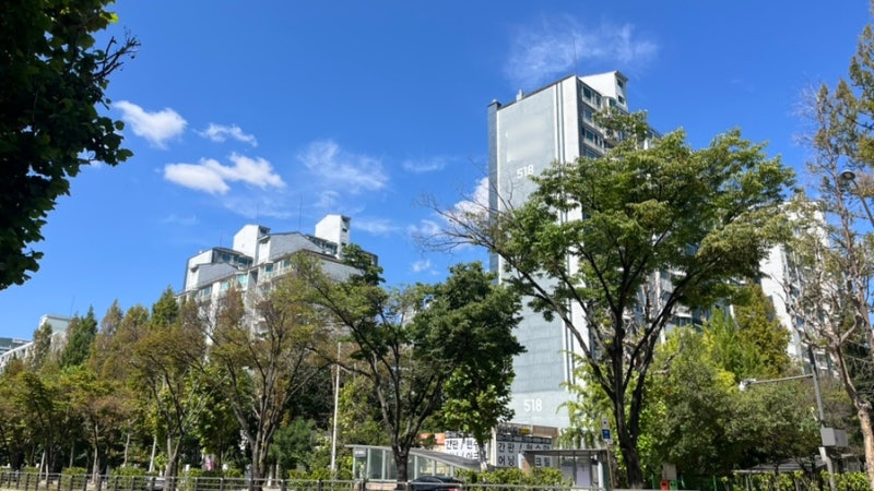 전세 계약 프로세스 : 대출 상담, 계약, 대출 신청, 잔금, 전입신고, 확정일자