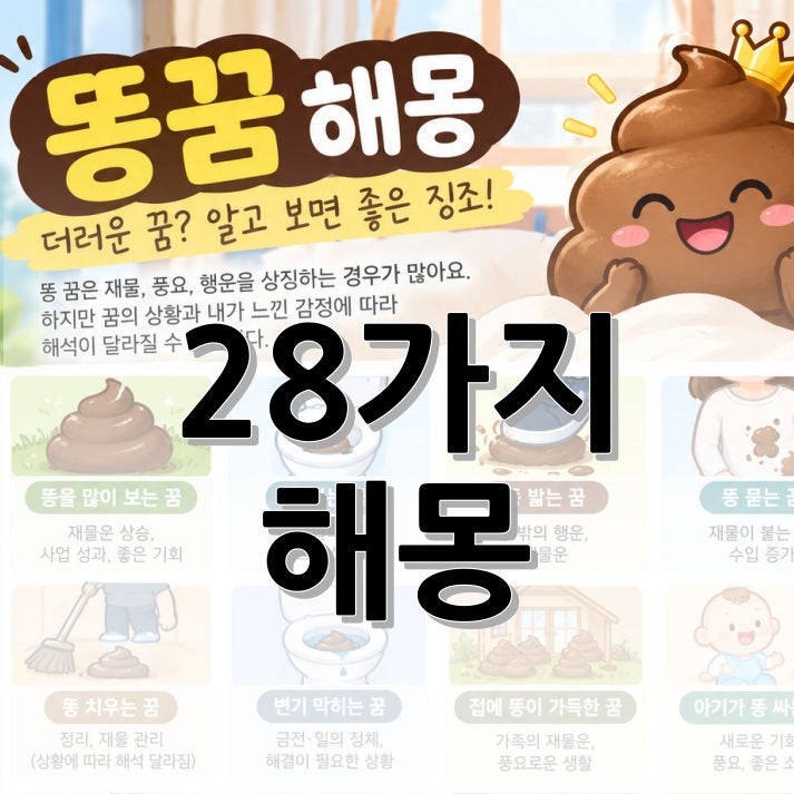똥 꿈 해몽 정리, 똥싸는 꿈, 밟는 꿈, 황금똥 꿈까지