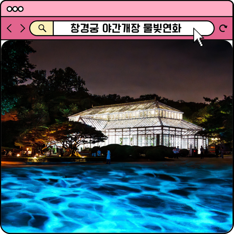 2026 창경궁 물빛연화 예매 사전 예약 방법 야간개장 시간 기간