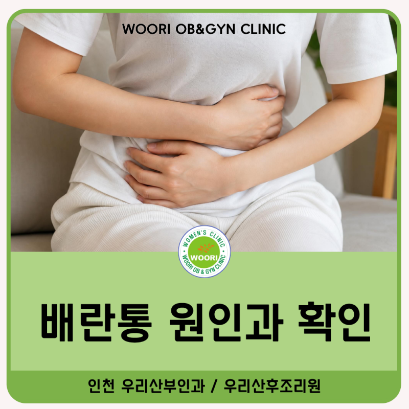 연수구 산부인과 배란통, 이유 없이 아랫배가 아프면 의심해야 할까? 원인과 확인법