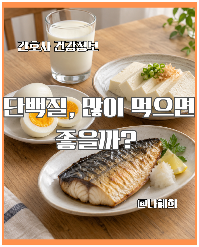 하루 단백질 권장량｜나이 들수록 더 먹어야 할까요?
