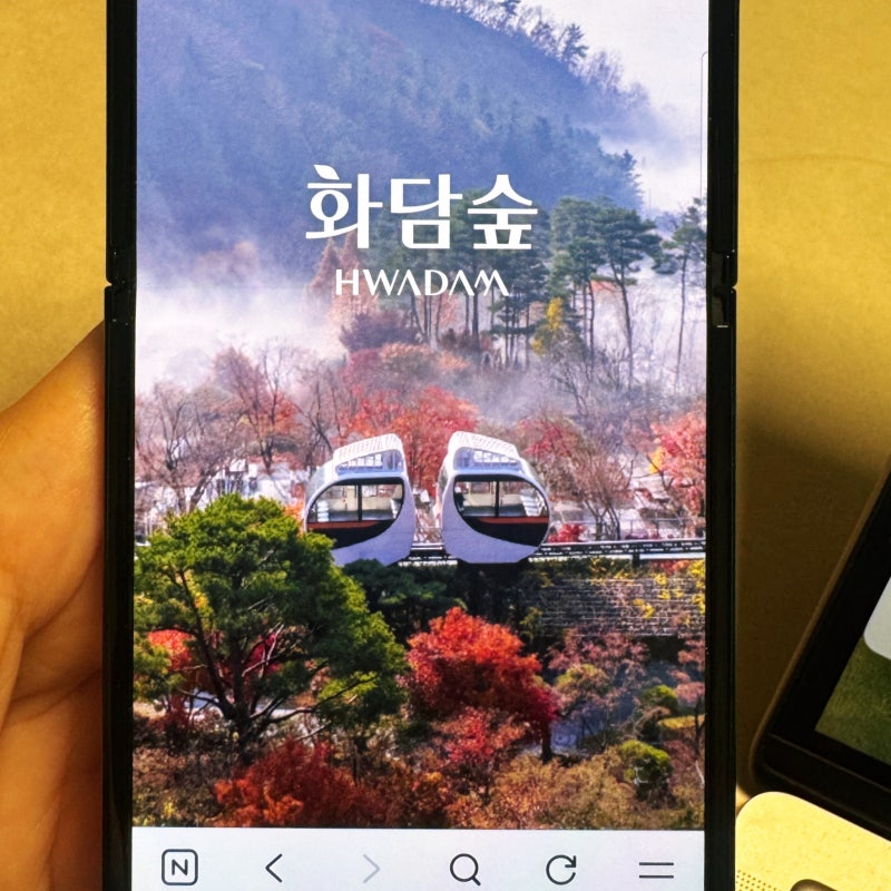 화담숲 단풍 예약 오픈 2026 모노레일 예매 꿀팁 정리(무릎 불편하신 부모님 모시고 가는 법)