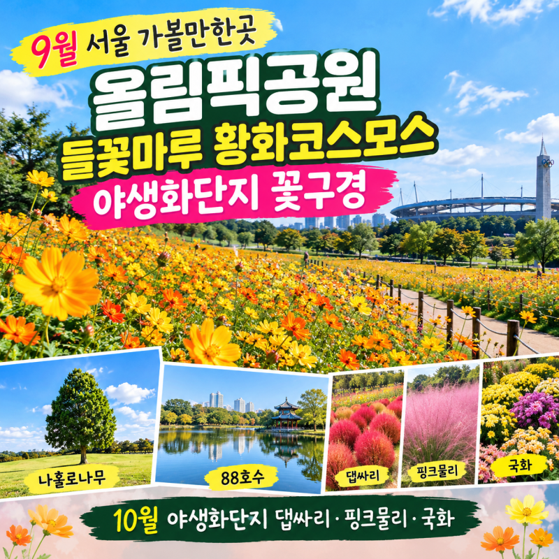 9월 서울 가볼만한곳 올림픽공원 들꽃마루 코스모스.핑크뮬리