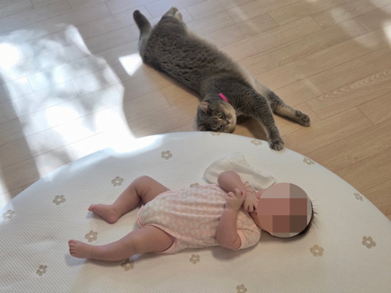 [내돈내산] 비비엔다 원형러그 후기ㅣ아기 신생아 원형러그 추천ㅣ비비엔다 아이싱 커버